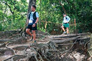 BIB: 
                            <button type="button" onclick="openModal(27720318)" class="btn btn-primary btn-sm float-right btn-popup" data-toggle="modal" data-target=".modal-high-quality">
                        <i class="fas fa-shopping-cart"></i> Add to Cart
                    </button>
                                            <button type="button" onclick="isThisMe(27720318, true)" class="btn btn-success btn-sm float-right btn-popup btn-isme hidden" data-toggle="tooltip" data-placement="bottom" title="นี่คือรูปของคุณใช่ไหม คลิกที่นี่เพื่อเอาเข้าอัลบั้ม">
                        <i class="fas fa-plus"></i> Add to album
                    </button>
                    <button type="button" onclick="isThisMe(27720318, false)" class="btn btn-warning btn-sm float-right btn-popup btn-isnotme hidden">
                        <i class="fas fa-ban"></i> Remove from album
                    </button>